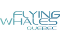 Flying Whales Québec choisit Pratt & Whitney Canada pour développer un système de propulsion pour aéronefs électriques