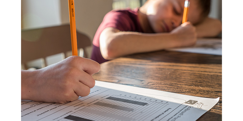 Encadrement Du Travail Des Enfants : Les Manufacturiers Saluent Le Dépôt Du Projet De Loi