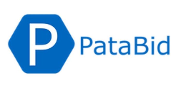 Patabid : Logiciel d’estimation conçu pour les entrepreneurs MEP